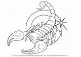 Scorpio Zodiac Sign Draw Drawing Step Signs sketch template