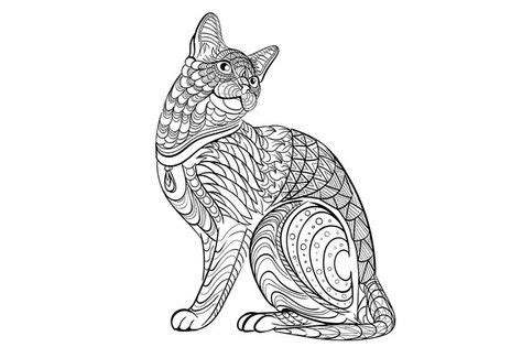 coloring book  adult cat cat coloring page animal coloring pages