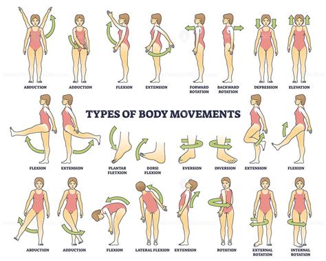 body movement types  medical physical motion explanation outline