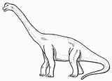 Brachiosaurus Dinosaurier Langhals Malvorlage Ausmalen Dinosaurus Dinos Jurassic Vorlagen Giraffe sketch template