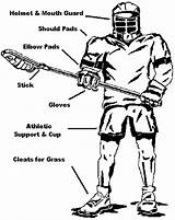 Lacrosse Coloring Equipment Pages Boys Diagram Getcolorings Printable Sticks Youth Required sketch template