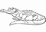 Crocodile Coloring Cartoon Pages Printable Supercoloring sketch template
