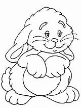 Coloring Pages Clipart Rabbit Rabbits Library sketch template