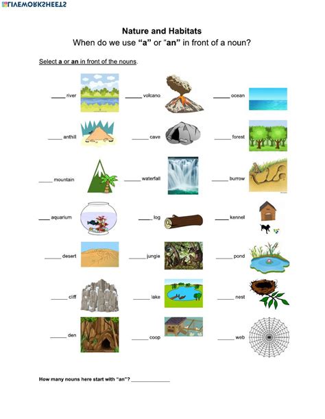 nature  habitat worksheet  worksheets