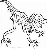 Fossil Coloring Pages Getcolorings Getdrawings sketch template