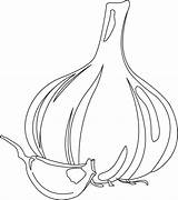 Garlic Clove Bulb Coloring Colouring Pages Kids Picolour sketch template