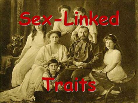 Ppt Sex Linked Traits Powerpoint Presentation Free Download Id 678866
