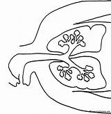 Lichaam Kleurplaten Menselijk Corpul Uman Colorat Anatomia Longen Biologia P21 Planse Copii Primiiani Lungs Desene sketch template
