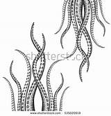 Tentacle Coloring Designlooter Drawn Illustrations Hand 470px 19kb sketch template