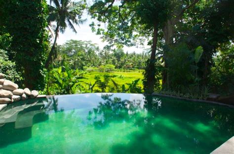 top  airbnb accommodations  ubud bali updated  ubud ubud villas bali