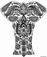 Zentangle Elephant Erwachsene Mandala Coloriage Mandalas Ausmalbilder Elefant Kleurplaat Malbuch Dessin Kleurplaten Fuer Supercoloring Elephants Hartjes Malvorlage sketch template