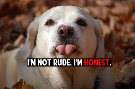 15 reasons you should stop lying and start being honest