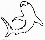 Sea Animals Pages Coloring Colouring Printable Sharks Print sketch template