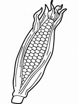 Coloring Corn Pages Cob Printable Popular sketch template