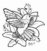 Hummingbird Lilies Lineart Drawings Hummingbirds Easy Sketches sketch template
