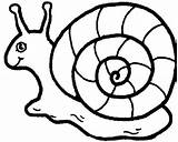 Snail Coloring Escargot sketch template