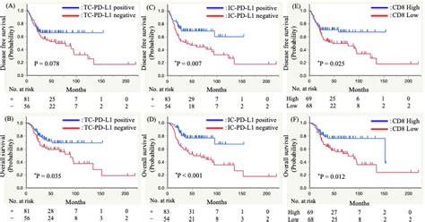 Prognostic Impact Of P16 And Pd L1 Expression In Patients With