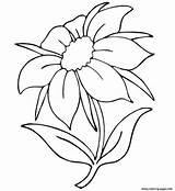Coloring Flowers Pages Printable Beautiful sketch template