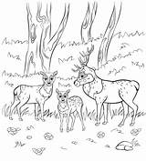 Coloring Pages Animal Families Printable Mom Family 30seconds Print Everyone Fun Tip Printables sketch template