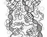 Coloring Dna Mitochondria Getdrawings Drawing Getcolorings sketch template