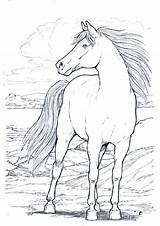 Pferde Ausmalbilder Dover sketch template