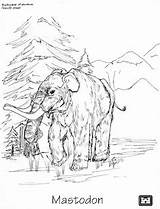 Mastodon Extinct Animal Week Garcia Joseph sketch template