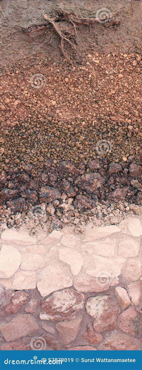 layer  soil stock image image  rock dirt field