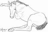 Laying Down Foal Coloring Book Comments sketch template