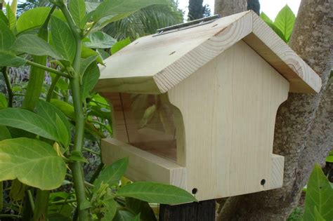 chickadee bird house design birdcage design ideas