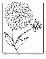 Flower Coloring Dahlia Dalia Pages Drawing Printable Zinnia Sheets Kids Flowers Getdrawings Spring 880px 57kb Para Stencils Choose Board sketch template