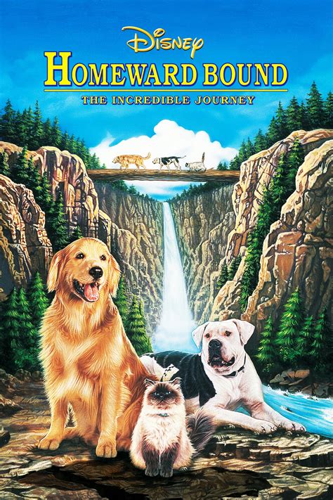 homeward bound  incredible journey  posters