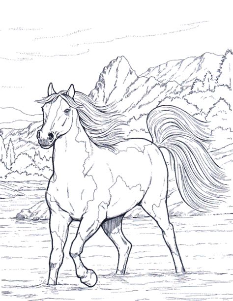 pin  coloring horses
