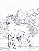 Coloring Horse Pages Adults Adult Kids Animal Horses Realistic Printable Colouring Cavalos Color Sheets Bestcoloringpagesforkids Print Burning Wood Drawing Book sketch template