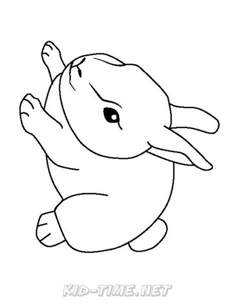 baby animals coloring pages  kids time fun places  visit