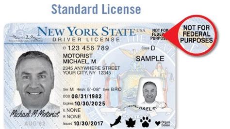 real id enhanced ny drivers licenses   yorkers