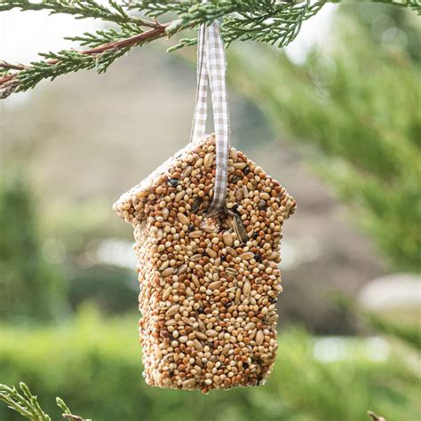 sweet shaped hanging bird food  thelittleboysroom notonthehighstreetcom