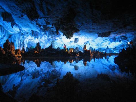 waitomo glow worm cave