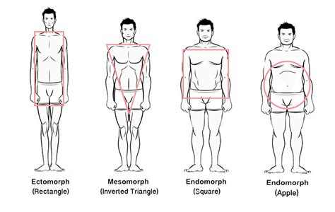 sydney body types service stylesense