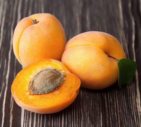 apricot diybunker