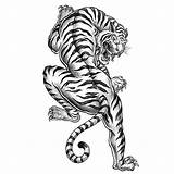 Tiger Tattoo Coloring Pages Tribal Printable Animal Mandala Favecrafts Template Print Tattoos Drawing Adult Book Head Sheets Getdrawings Getcolorings Style sketch template