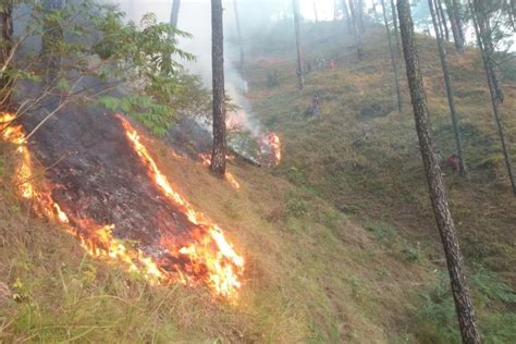 climate crisis uttarakhand   forest fires   year