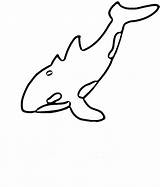 Orca Whale Shamu sketch template