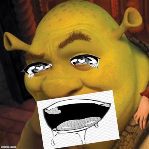 Shrek Sexy Face Imgflip