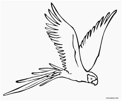 printable parrot coloring pages  kids coolbkids