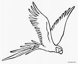 Parrot Coloring Pages Flying Kids Printable Cool2bkids Birds Drawing Bird Drawings Animals Creativity Wings Animal Choose Board sketch template