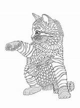 Kleurplaten Volwassenen Voor Erwachsene Kleurplaat Katze Volwassen Moeilijk Fur Schwer Zum Malvorlage Hond Moeilijke Schattige Cats Katzen Fuchs Ausmalen Animaatjes sketch template