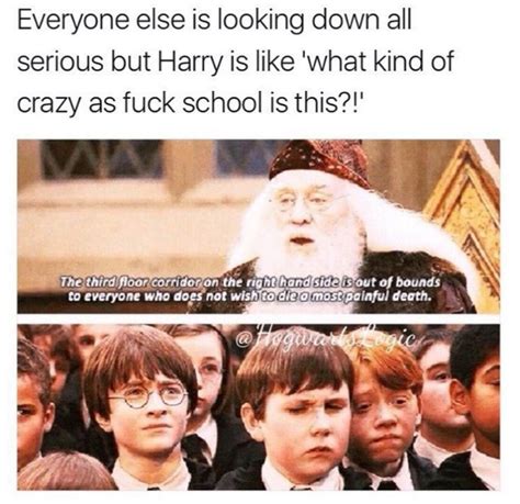 what kind of crazy as fuck school is this harrypotter
