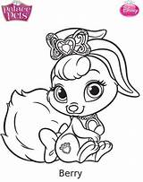 Palace Pets Coloring Pages Princess Berry Kids Fun sketch template