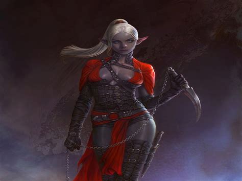 xpx p   dark elf warrior chain fantasy female dark elf dagger