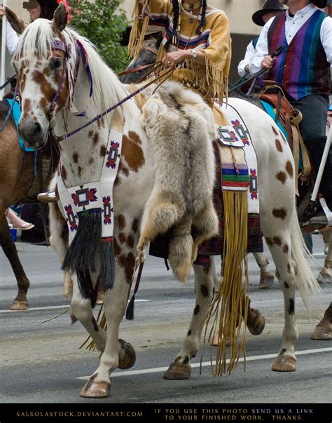 native   salsolastock  deviantart native american horses indian